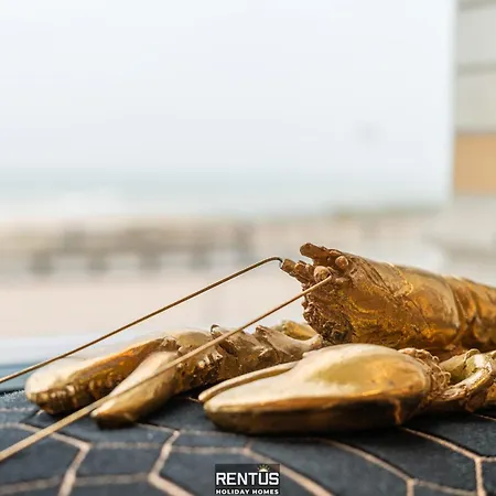 公寓 Lobster Loft - Stylish With Sea View In